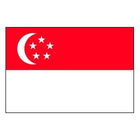 singapore flag hdb composite wood